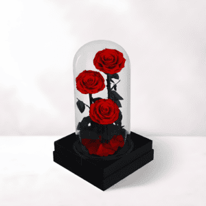 Elegant Red Rose Display in Glass Dome.