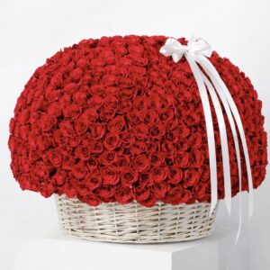 500 Red Roses Basket
