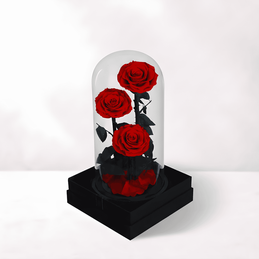 Elegant Red Rose Display in Glass Dome.