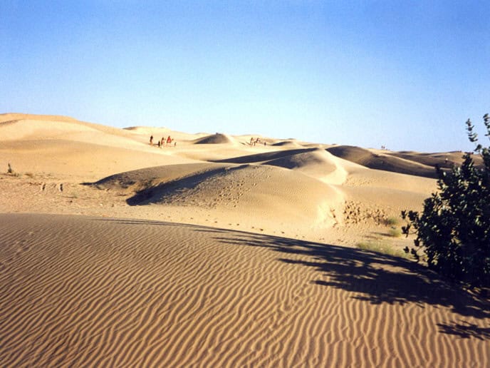 Production Company in India