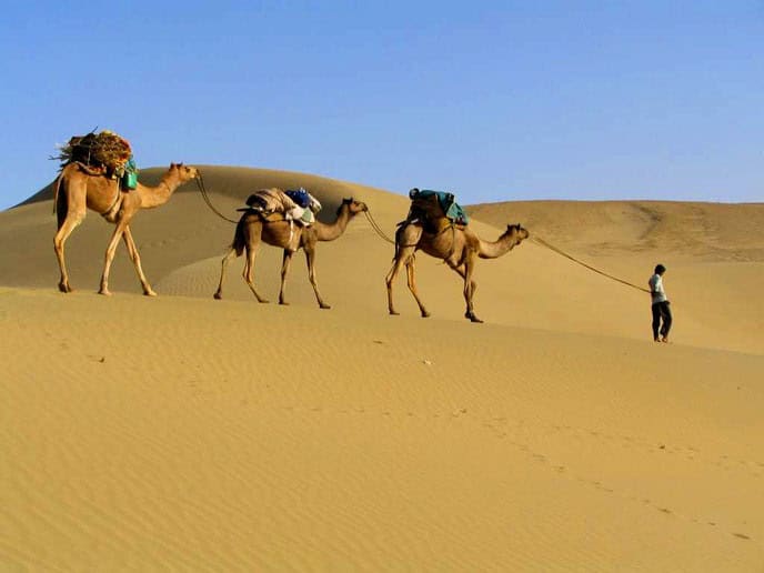 Production Company in India