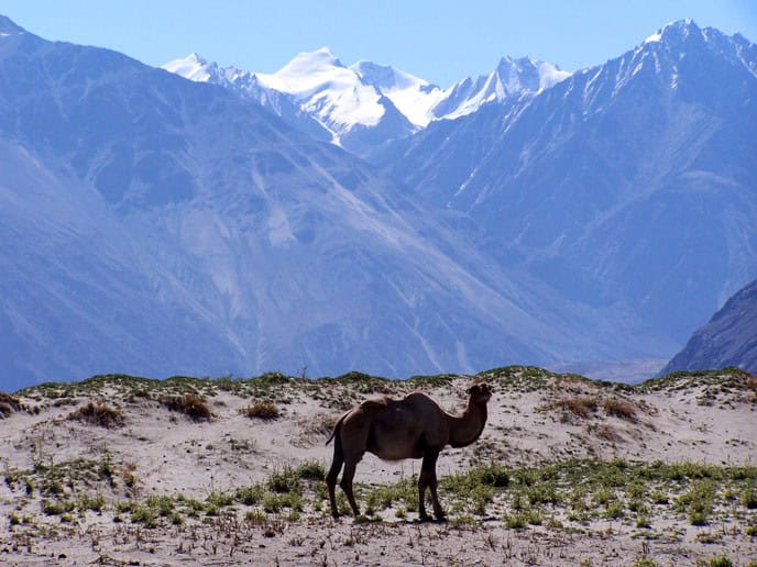 Production Company in India