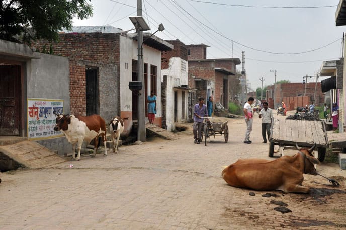 Film and TV Locations in India