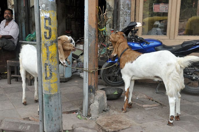 Film and TV Locations in India