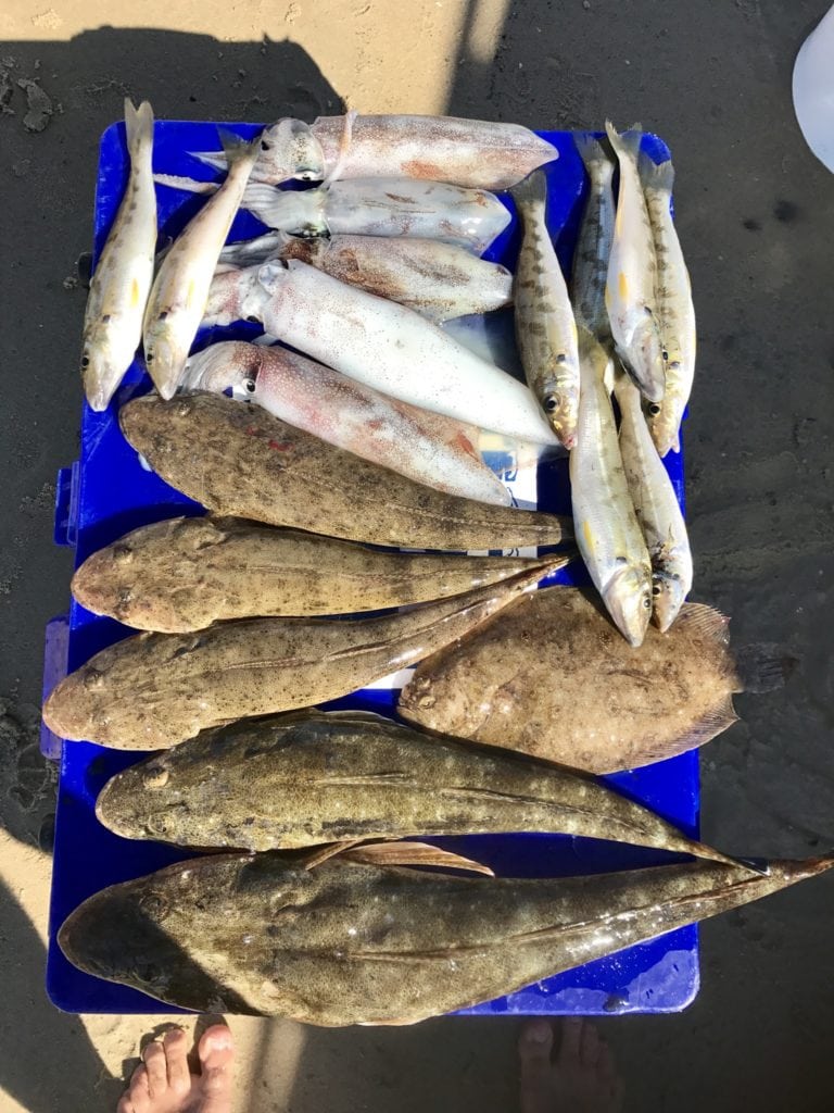 Ecogear ZX40 lures-The complete guide to catching heaps of estuary