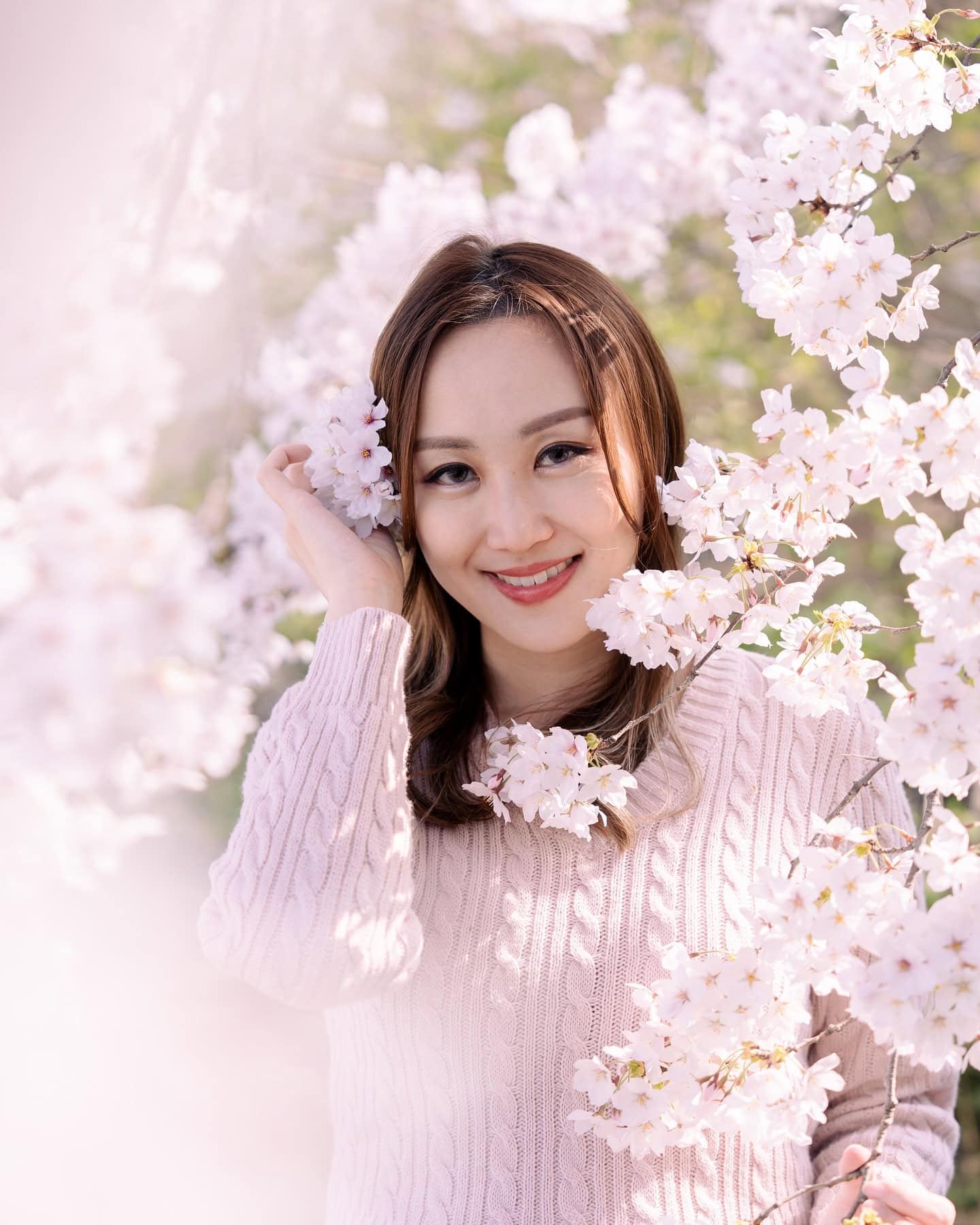 상록수 사진, 벚꽃과 함께한 여성 모델, 자연 속 한국 촬영작품, 봄철 야외 촬영, 화사한 봄 풍경과 여성 포즈, 서울 촬영작가, 강력 추천 한국 여름 사진, 자연과 어우러진 한국 여성 사진, 아름다운 벚꽃 풍경, 봄철 촬영장소로 인기 높은 한국 카메라 작가 작품.