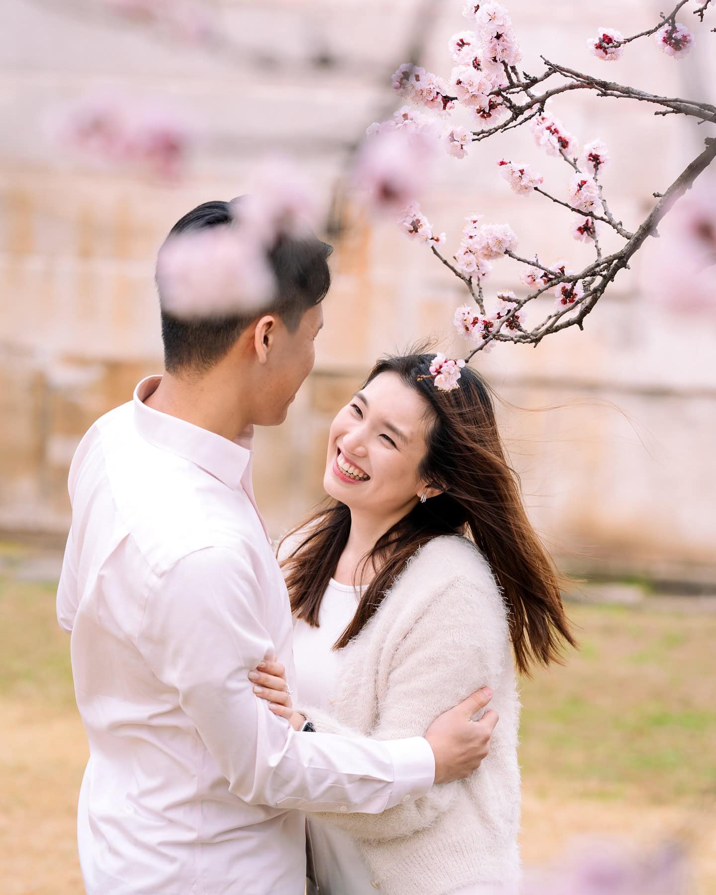 봄 벚꽃 나무 아래 사랑스러운 연인 사진, 한국 사진작가 골든아워, 커플이 감성적으로 웃으며 자연 풍경과 함께 포즈를 취하는 모습.