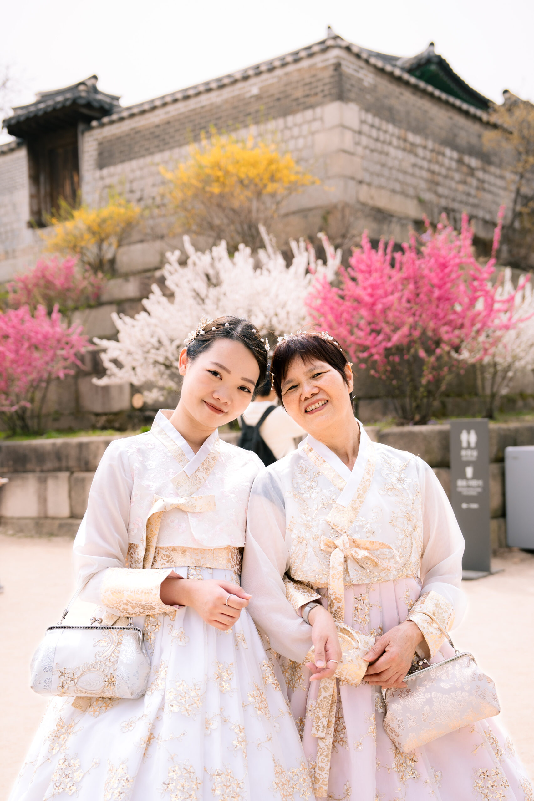 Beautiful women dressed in traditional Korean hanbok enjoying cherry blossoms during golden hour in Korea, capturing moments of cultural elegance and scenic springtime beauty.