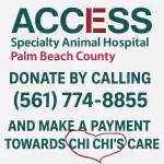 Access Specialty Animal Hospital Chi Chi GCNN Good Citizen News Network goodcitizennewsnetwork.com News That's Not Fake