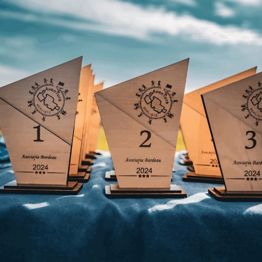 Premii si Trofee