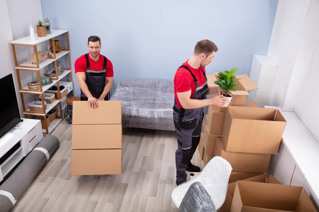 Movers packing household items into boxes in a modern living room.