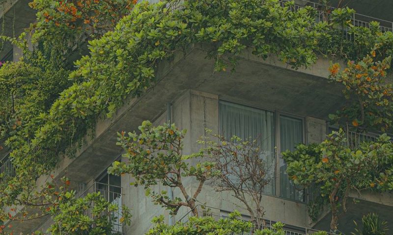 Embrace a Greener Lifestyle with GreenStart Living