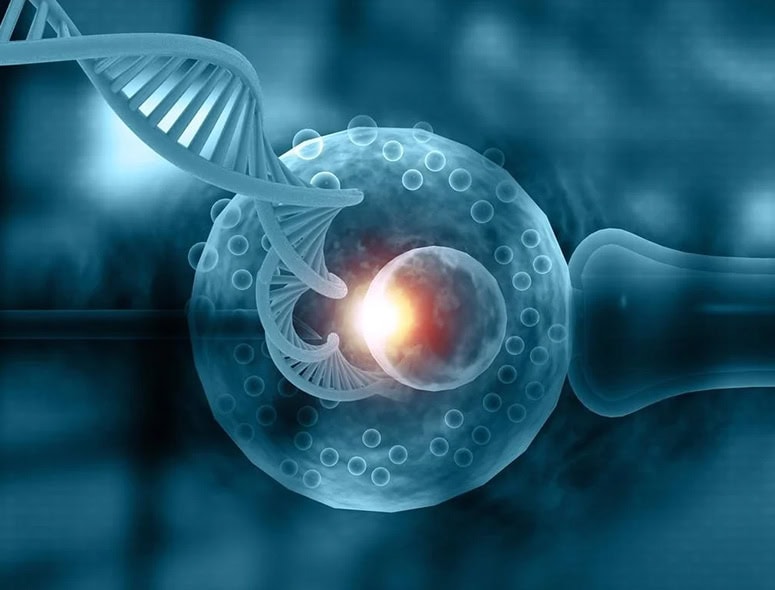 Illustration of DNA and fertilization process in reproductive health.