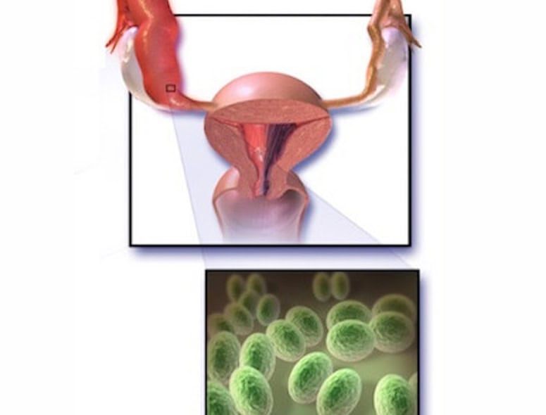 Female reproductive system and fertilization process illustration.