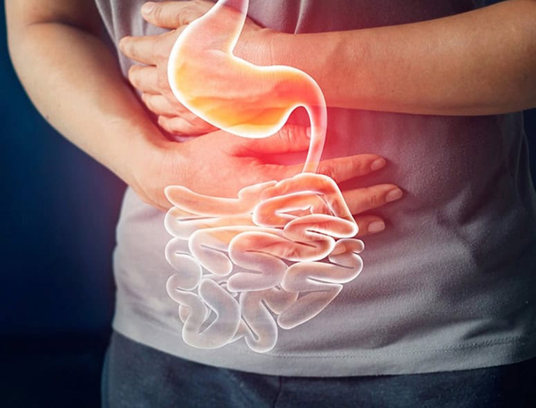 Illustration of human digestive system highlighting the stomach and intestines.