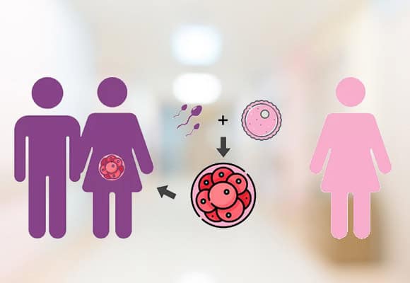 Illustration of fertility process with sperm, egg, and embryo development.