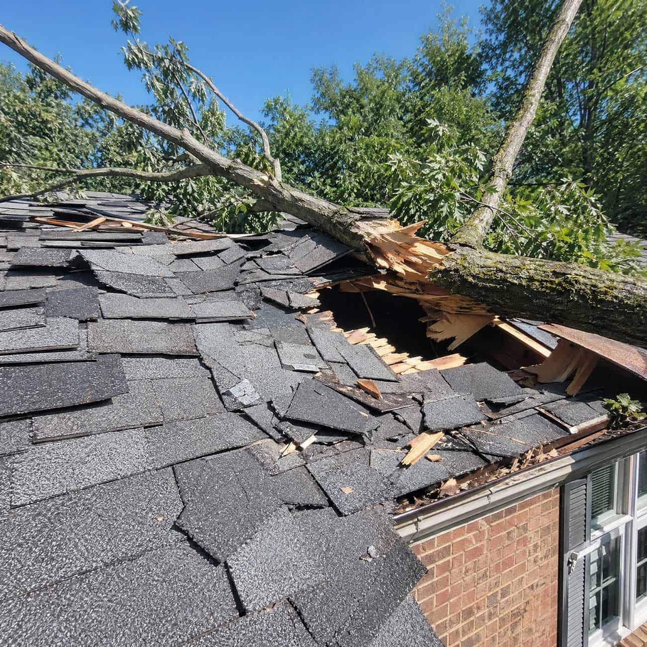 A tree branch damaged a roof and made a hole. GRT Roofing can fix roof damage quickly and help keep homes safe.