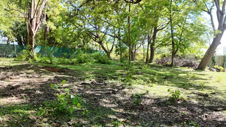 Lote de 1.031 m² para Apartamentos o Casa en Venta La Carreta – Liberia