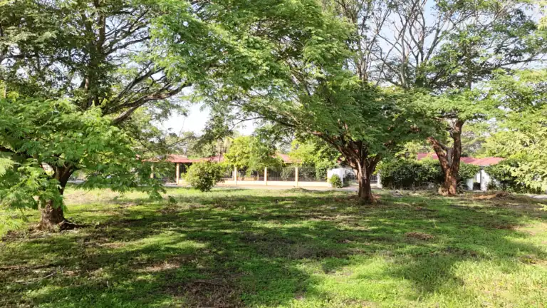 Lotes de 1,000 m² en Venta en Residencial El Real Este, Liberia