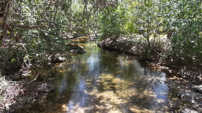 Finca con Quebrada y Casas en Venta en Los Naranjales de El Escobio, Liberia, Guanacaste