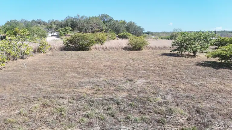 Lote Residencial en Venta en Rodeíto, Liberia | Naturaleza y Alta Plusvalía