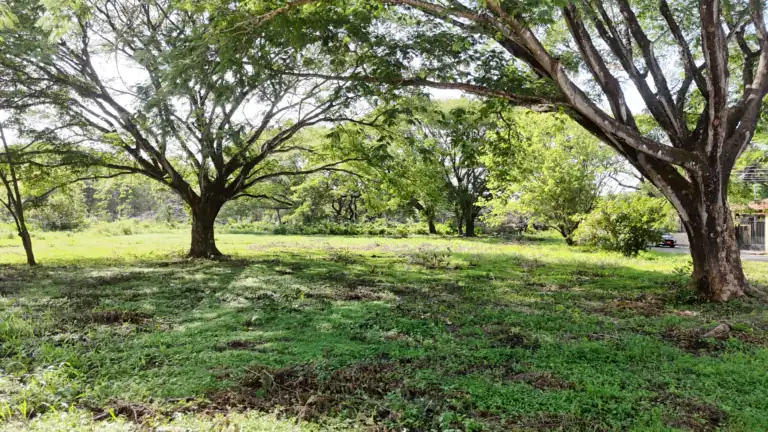 Lotes de 1,000 m² en Venta en Residencial El Real Este, Liberia