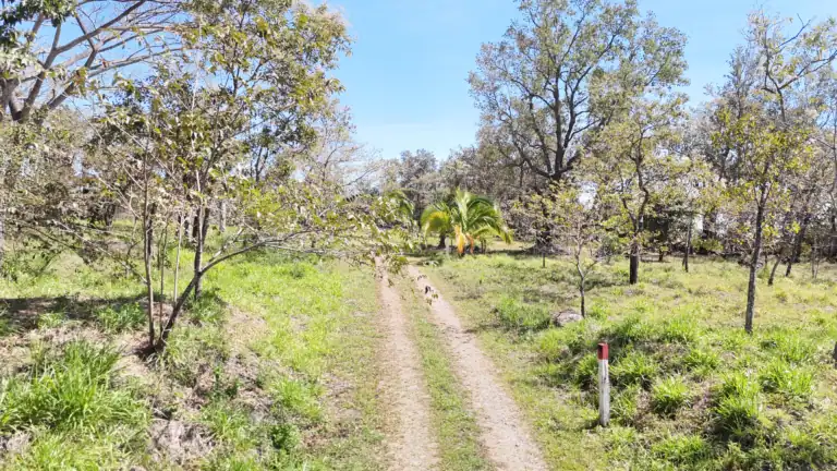 Lotes en Venta en Rancho San Roque – Comunidad Eco Sostenible Cerca de Rincón de la Vieja, Guanacaste