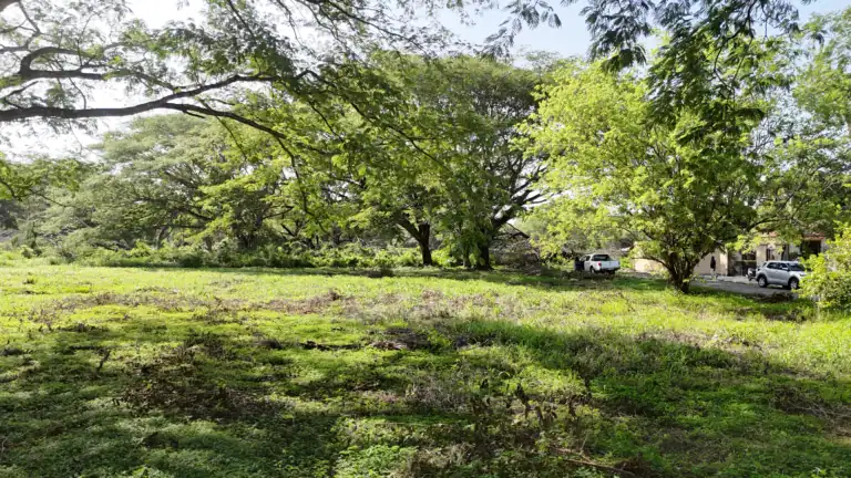 Lotes de 1,000 m² en Venta en Residencial El Real Este, Liberia