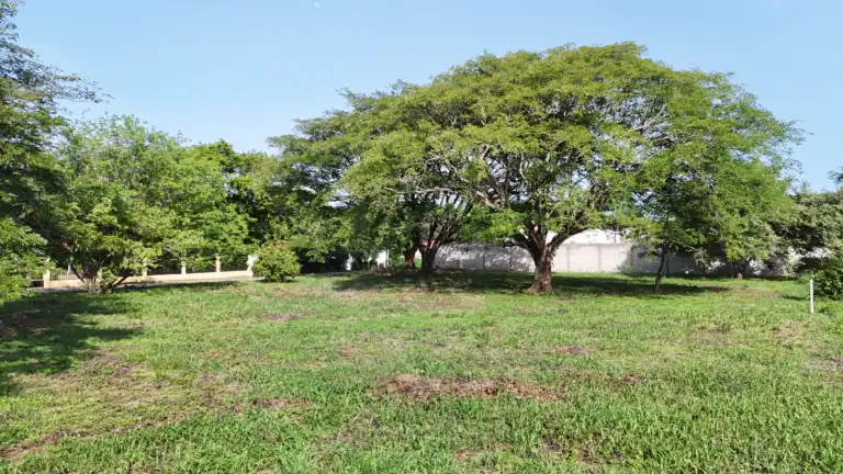 Lotes de 1,000 m² en Venta en Residencial El Real Este, Liberia