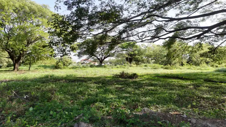 Lotes de 1,000 m² en Venta en Residencial El Real Este, Liberia