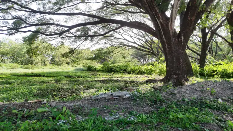 Lotes de 1,000 m² en Venta en Residencial El Real Este, Liberia