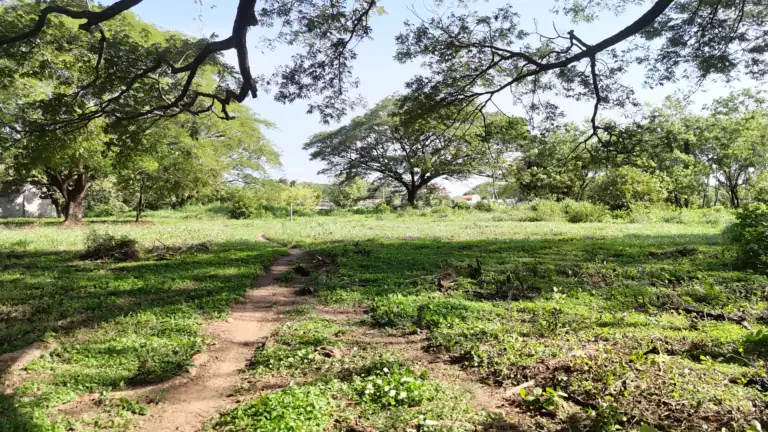 Lotes de 1,000 m² en Venta en Residencial El Real Este, Liberia
