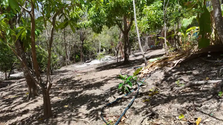 Finca con Quebrada y Casas en Venta en Los Naranjales de El Escobio, Liberia, Guanacaste