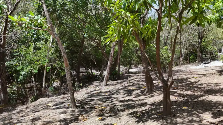 Finca con Quebrada y Casas en Venta en Los Naranjales de El Escobio, Liberia, Guanacaste