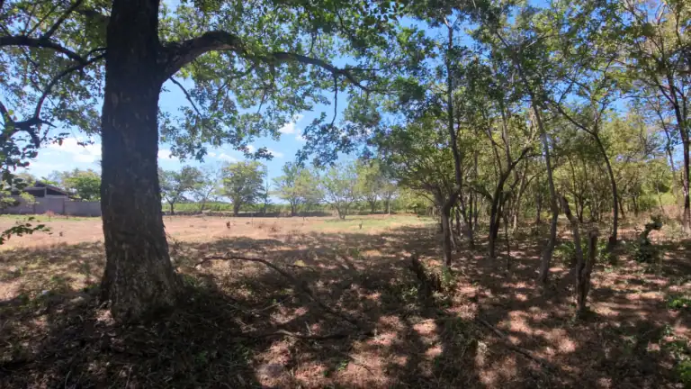 Lote residencial de 861 m² en Liberia, Guanacaste. Acceso por servidumbre privada, rodeado de naturaleza y a minutos del centro de la ciudad.