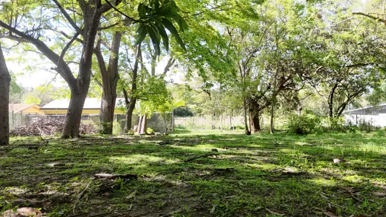 Lote de 1.031 m² para Apartamentos o Casa en Venta La Carreta – Liberia
