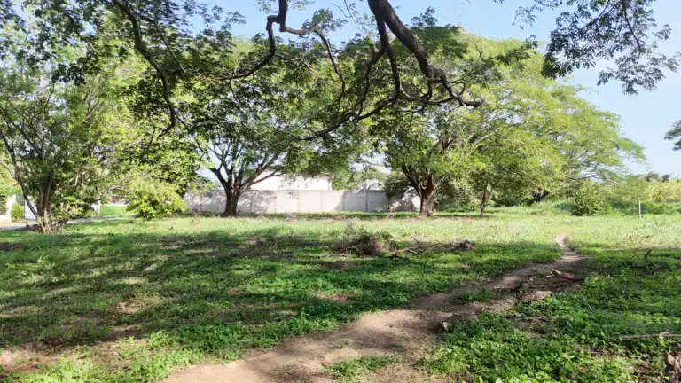 Lotes de 1,000 m² en Venta en Residencial El Real Este, Liberia