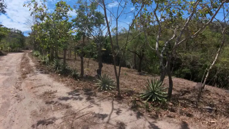 Finca con Quebrada y Casas en Venta en Los Naranjales de El Escobio, Liberia, Guanacaste