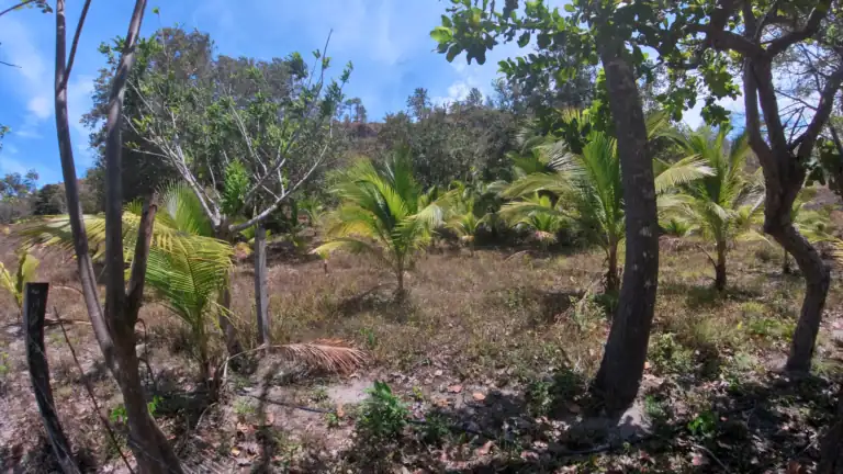 Finca con Quebrada y Casas en Venta en Los Naranjales de El Escobio, Liberia, Guanacaste