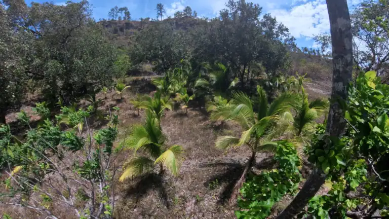 Finca con Quebrada y Casas en Venta en Los Naranjales de El Escobio, Liberia, Guanacaste