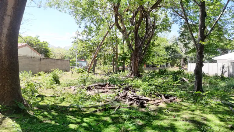 Lote de Uso Mixto de 1.118 m² en Venta en Barrio La Cruz, Liberia