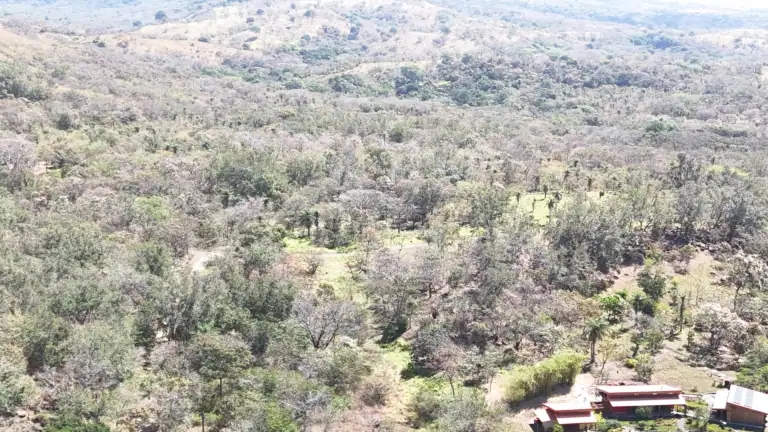 Lotes en Venta en Rancho San Roque – Comunidad Eco Sostenible Cerca de Rincón de la Vieja, Guanacaste