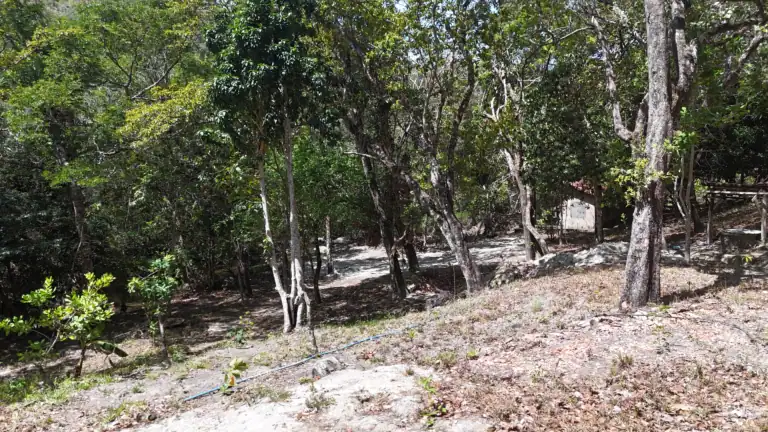 Finca con Quebrada y Casas en Venta en Los Naranjales de El Escobio, Liberia, Guanacaste