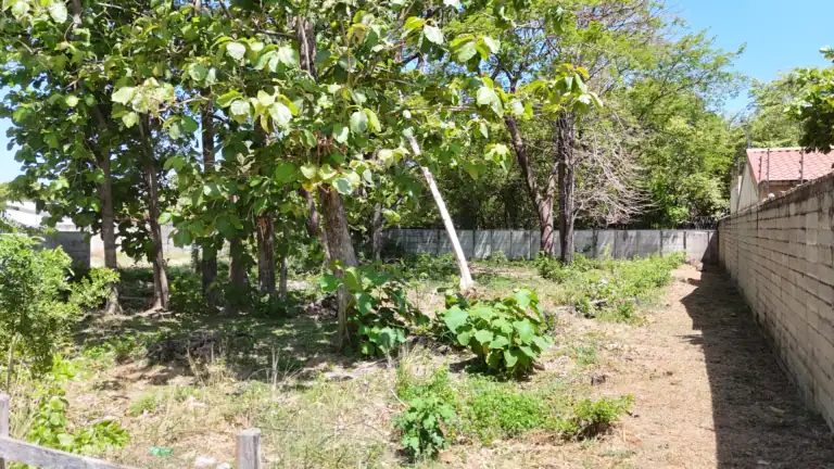 Lote de Uso Mixto de 1.118 m² en Venta en Barrio La Cruz, Liberia
