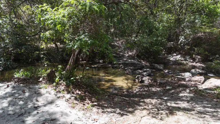 Finca con Quebrada y Casas en Venta en Los Naranjales de El Escobio, Liberia, Guanacaste