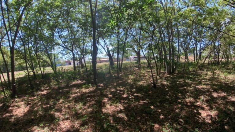 Lote en venta de 918 m² Residencial El Real – Liberia