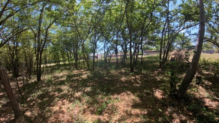 Lote en venta de 918 m² Residencial El Real – Liberia