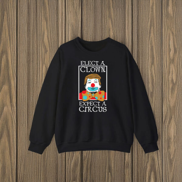 Political-Satire-Graphic-Tee,-Elect-A-Clown-Expect-A-Circus-Anti-Trump-T-Shirts