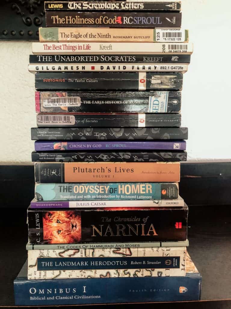 Omnibus 1 books in a stack
