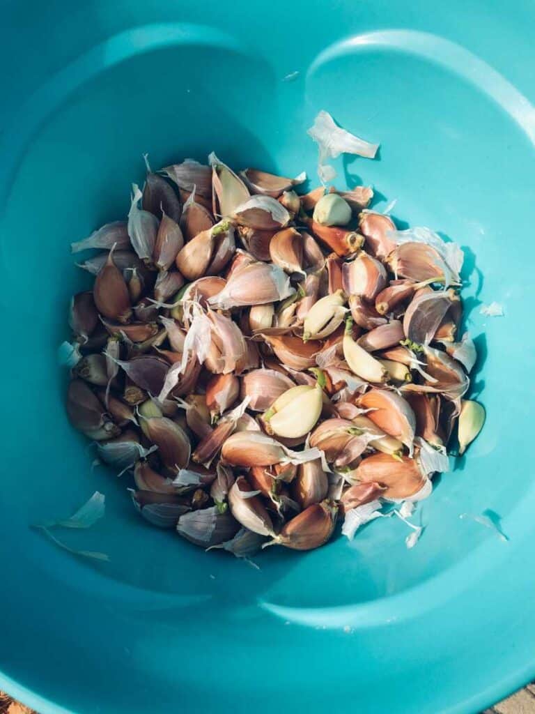 garlic cloves in a bowl